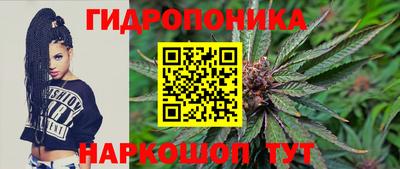 дурь Будённовск