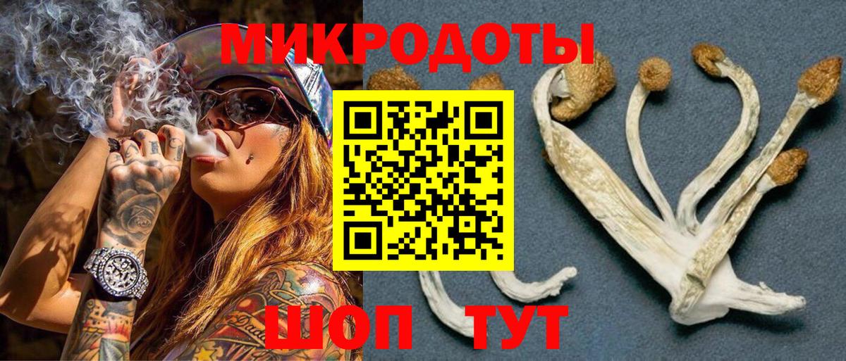 Полысаево  Псилоцибиновые грибы прущие грибы  наркотики  Вход с VPN 
